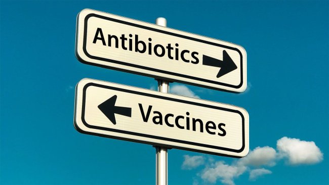 Intensification of animal food production and emergence of new production systems (such as Raised Without Antibiotics or organic systems) has resulted in emergence or re-emergence of pathogens. These new societal trends, together with the willing to reduce the use of antimicrobials in livestock productions, highlight the importance of improving existing vaccines and/or development of new vaccination strategies to fight against emerging or re-emerging pathogens.