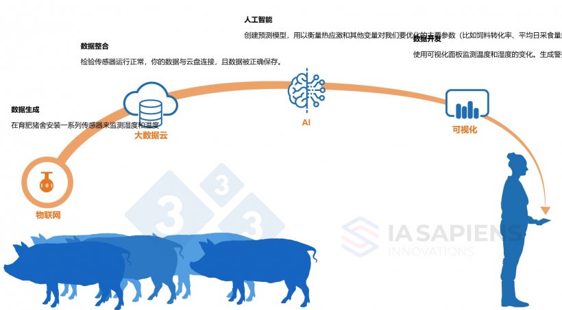 图 1.&nbsp;AI在育肥猪舍的应用。
