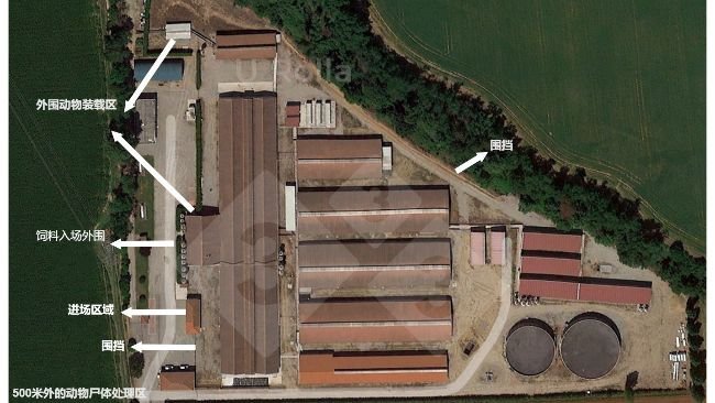 图1. 母猪场俯瞰图。