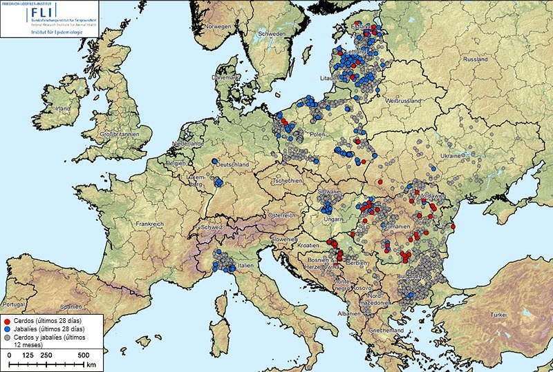 Figure 1. Outbreaks of African swine fever (genotype II) in Albania, the Baltic States, Bosnia and Herzegovina, Bulgaria, Germany, Greece, Italy, Kosovo, Croatia, Moldova, Montenegro, North Macedonia, Poland, Romania, Sweden, Serbia, Slovakia, Czech Republic, Ukraine, and Hungary (August 20, 2024, to August 20, 2025). Data source: ADIS, TSN (as of August 20, 2025, 8:40 a.m.)

