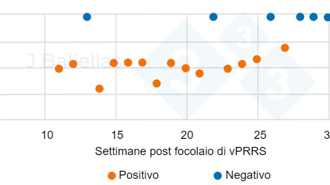 Figura 1. Evoluzione dei valori PCR Ct nelle settimane successive all'episodio&nbsp;di PRRS.

