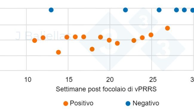 Figura 1. Evoluzione dei valori PCR Ct nelle settimane successive all'episodio di PRRS.