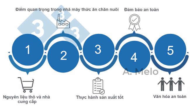 H&igrave;nh 1. Năm ch&igrave;a kh&oacute;a để đạt được sự an to&agrave;n trong sản xuất thức ăn hỗn hợp.
