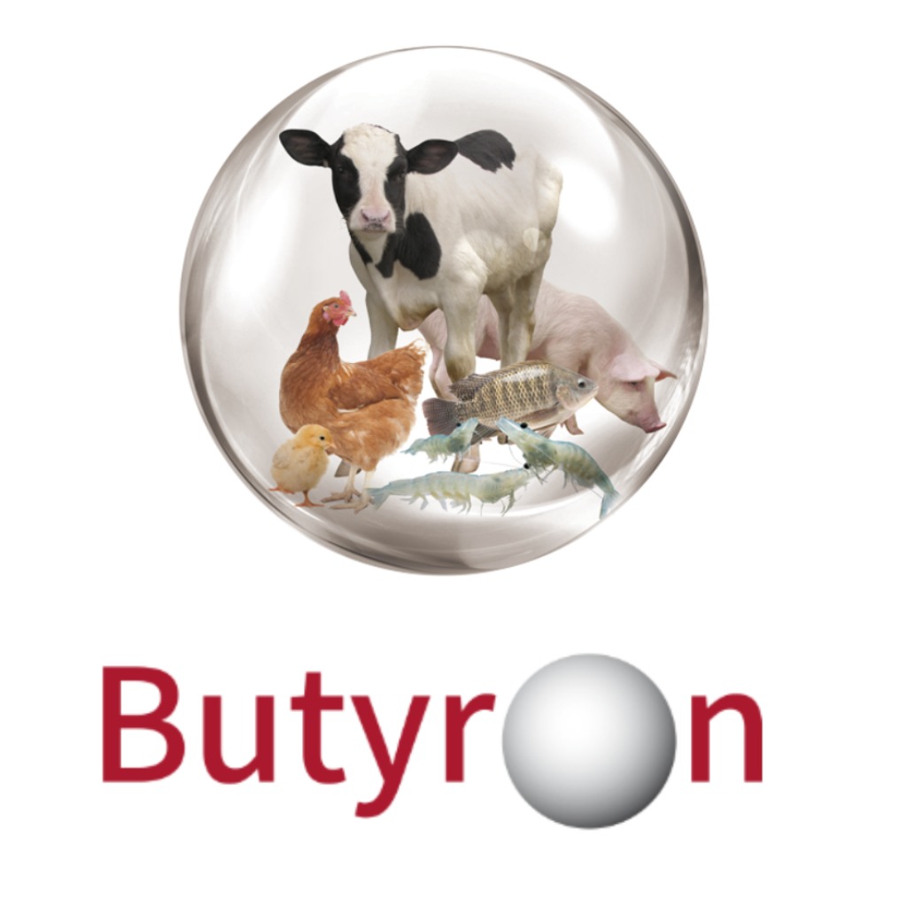 Butryon 