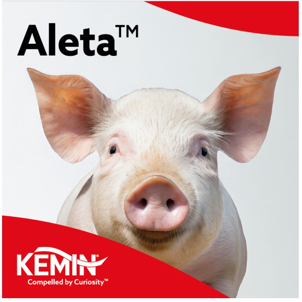 Aleta™