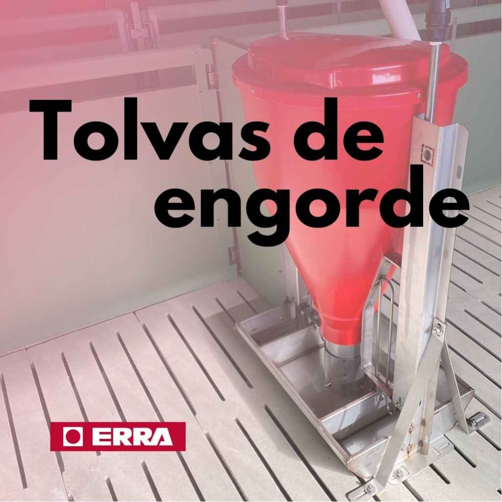 Tolvas de engorde