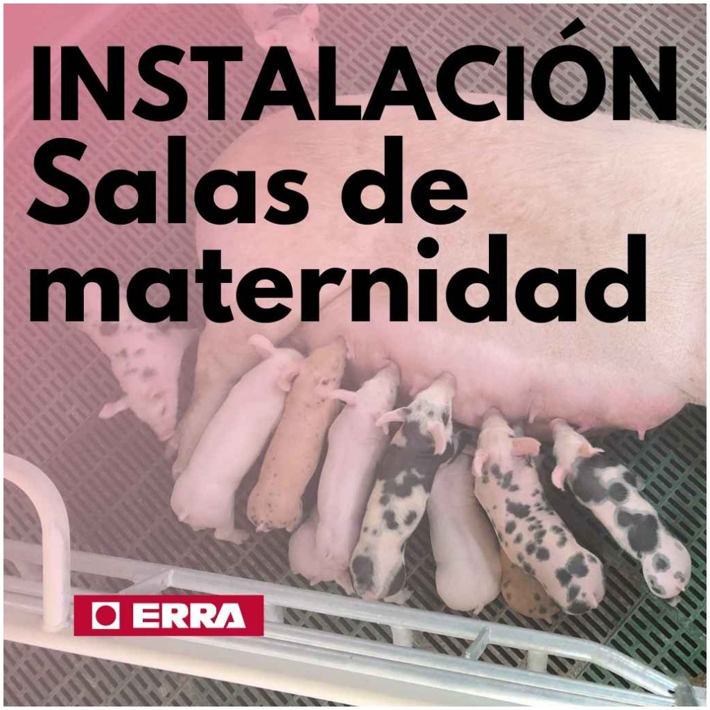 Salas de maternidad