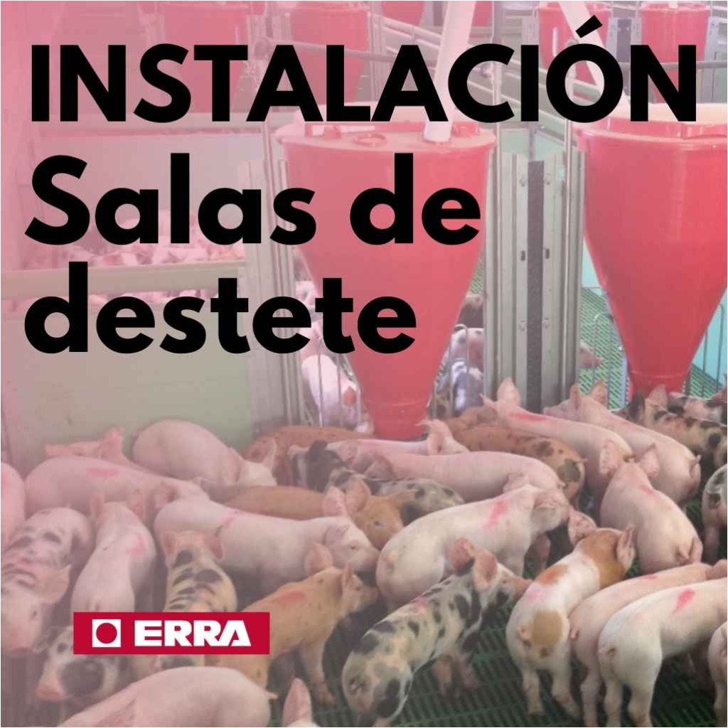 Instalaciones destete