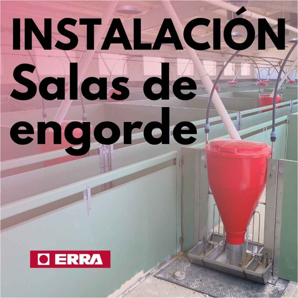 Instalaciones engorde