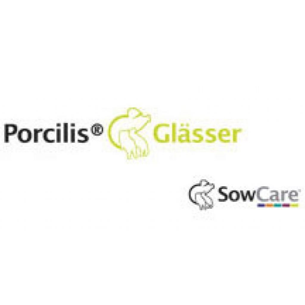 Porcilis Glasser